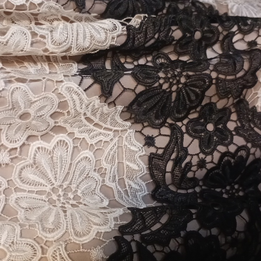 Adrianna Papell Black and Cream Lace Midi Dress - Picture 2 of 6